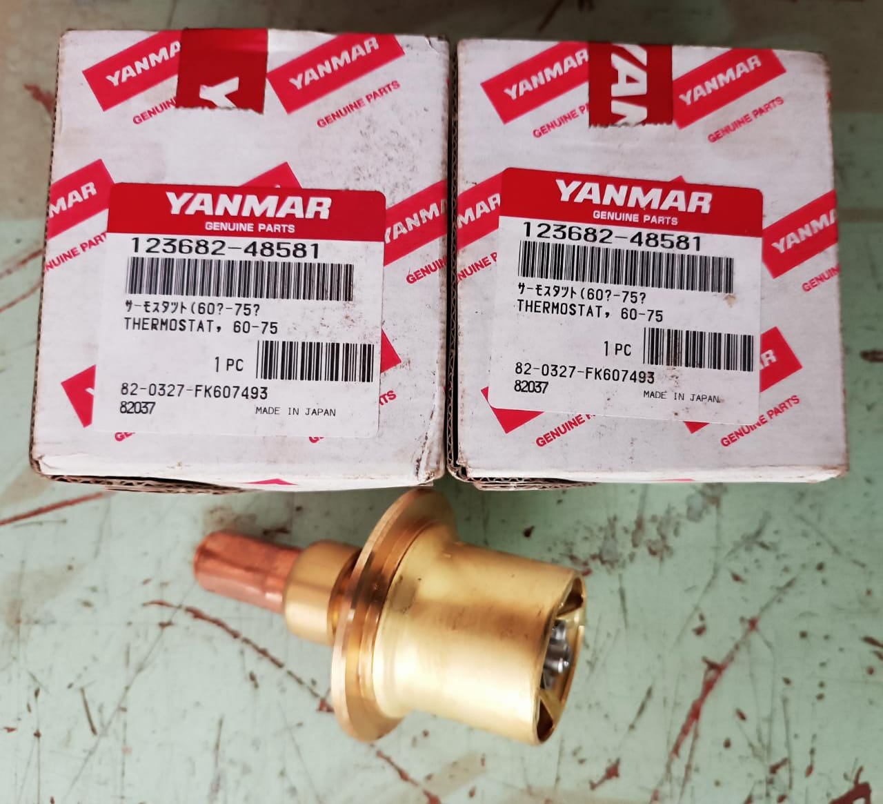 THERMOSTAT 60-75