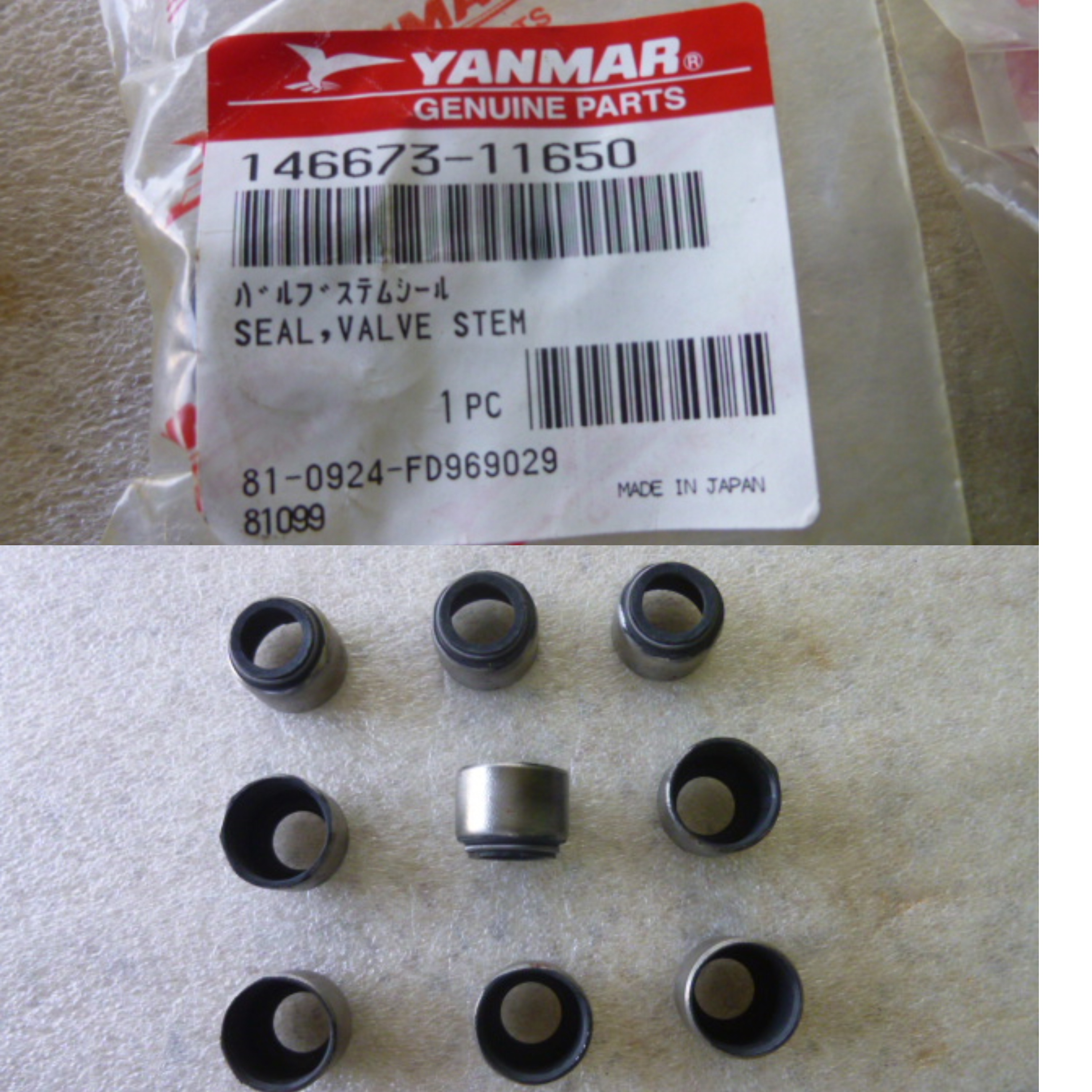 STEAM V/V SEAL INLET.